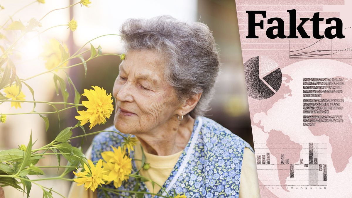 Fakta: Jak se od roku 1989 změnil život seniorů